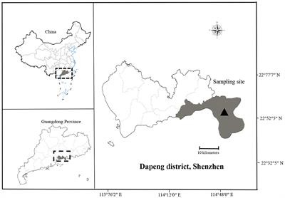 Pathogenicity and antibiotic resistance analysis of Vibrio species found in coastal water at mainly beach of Shenzhen, China